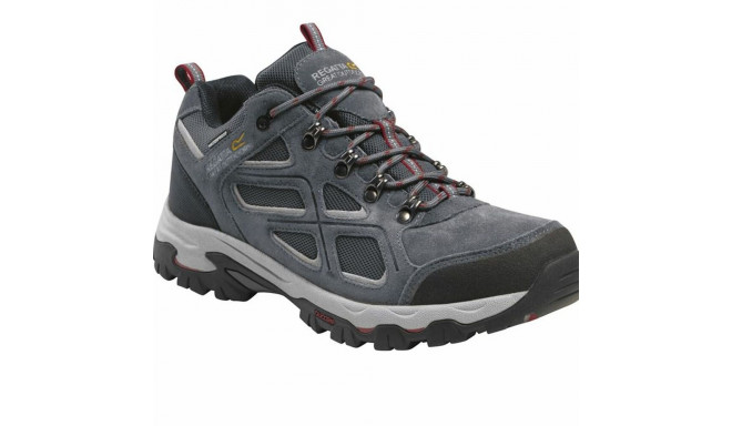 Hiking Boots Regatta Tebay  Grey Men - 44