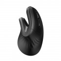 Wireless Vertical Mouse Dareu LM109 Magic Hand Bluetooth + 2.4G (black)