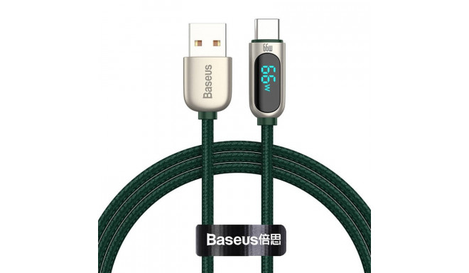 Baseus Display Cable USB to Type-C, 66W, 1m (green)
