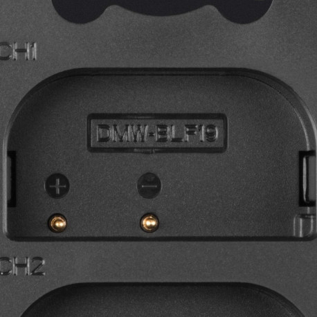 Newell DL-USB-C dual channel charger for DMW-BLF19