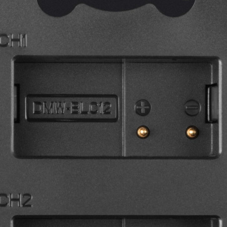 Newell DL-USB-C dual channel charger for DMW-BLC12