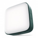 Newell Campina LED lamp - green