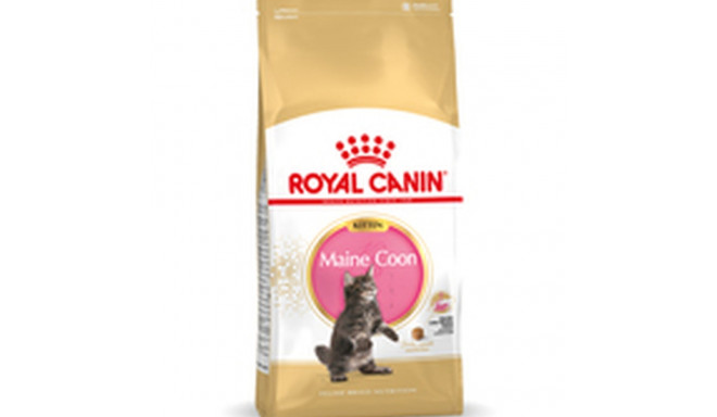 Kaķu barība Royal Canin Maine Coon Kitten 10 kg