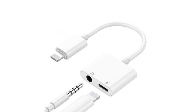 iPhone Lightning to 3.5 mm Headphone Jack Adapter (double)