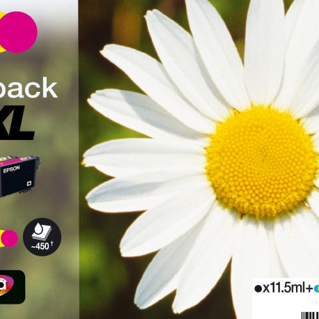 Tint Epson T181640 No 18XL komplekt (multipack - CMYK) XP-102/202/205/215 XP-302/305/315/322/325  XP