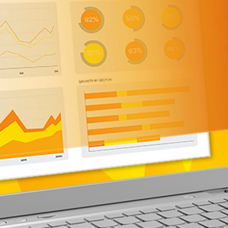 3M privaatsusfilter 12,5" GPF12,5 16:9 Wide, kuldne