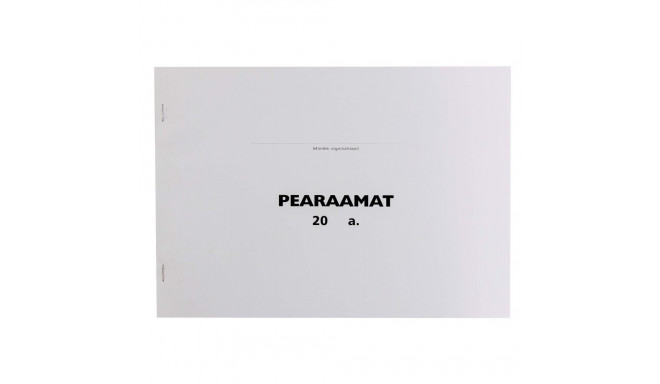 Pearaamat deebet/kreedit (100lehte)