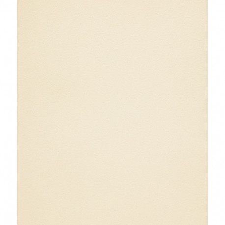 Disainpaber Curious Metallics White Gold A4/50l. 120g