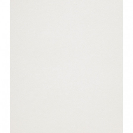 Disainpaber Curious Metallics Ice Silver A4/50l 120g