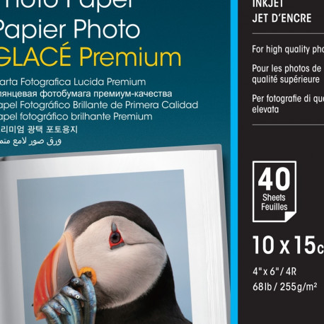 Paber Epson Premium Glossy Paper 10x15cm 40lehte 255gr/m2 S042153