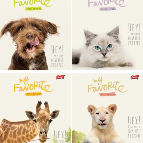 Koolivihik A5+(170x230) 5x5 ruut, 12 lehte, Hey!, 4 motiivi