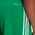 adidas men's shorts Squadra 21 GN5769 (L), green