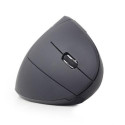 Gembird MUSW-ERGO-01 mouse Right-hand RF Wireless Optical 1600 DPI