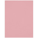 Westcott X Drop Kreukbestendige Achtergrond   Licht Roze (1.5 x 2.1 m)
