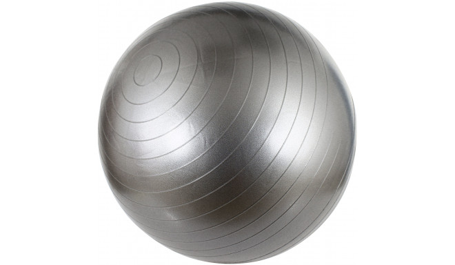 Gym Ball AVENTO 42OA 55cm Silver