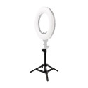 Caruba Lampstatief LS 50 50cm