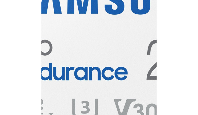 "CARD 256GB Samsung PRO Endurance MicroXC UHS-I U3 inkl. Adapter"