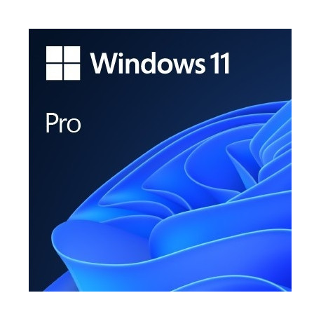 "Microsoft Windows 11 Pro 64bit (NL)"