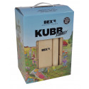 Activity game Kubb