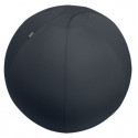 Istumispall/Tasakaalupall Leitz Ergo Active Sit Ball Anti-roll-away, Dark Grey/tumehall, 75cm, kuni 