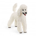 Large poodle