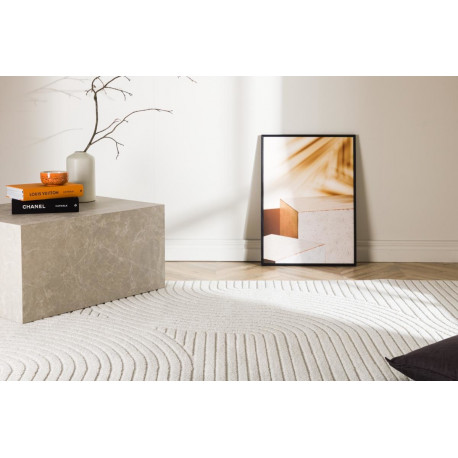 Vaip Vince 230x160 cm, valge