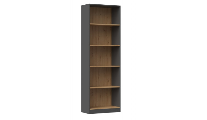 Topeshop R60 ANT/ART office bookcase