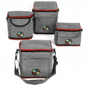 Thermal bag Spokey Icecube 3 GY/OE 927380 (23x14x25cm)