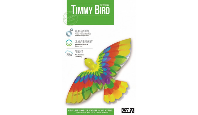 Flying bird little Caly - Timmy