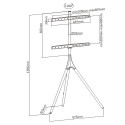 Floor stand for TV 45-65 inches, 32 kg wood