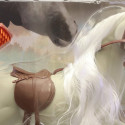 Royal Breeds figure