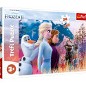 TREFL FROZEN maxi puzzle Frozen II 24 pcs