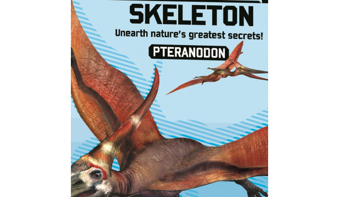 4M Izrakuma komplekts Pteranodons