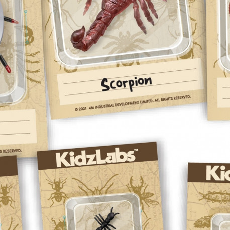 4M DIY set Creepy crawly digging
