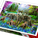 TREFL puzzle Wolves 1000 pcs