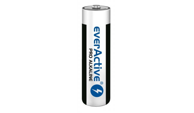 everActive battery Pro Alkaline LR6 AA 10pcs