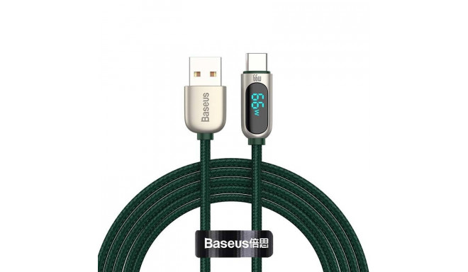 Baseus Display Cable USB to Type-C, 66W, 2m (green)