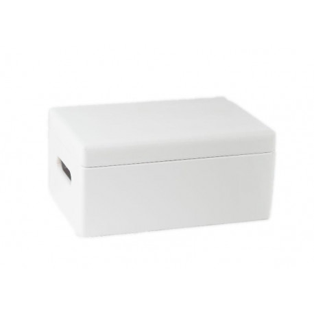 WOODEN BOXWITH LID 315001 WHITE