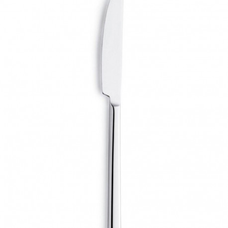 Knife Set Amefa Metropole Metal 21 cm 12 Units