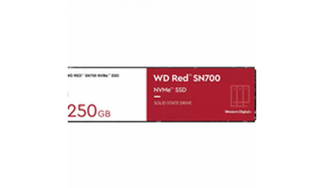 Hard Drive Western Digital WD Red SN700 250 GB SSD