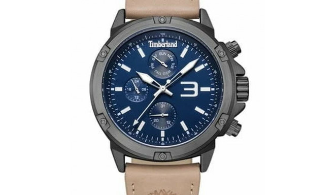 Men's Watch Timberland TDWGF9002902 (Ø 46 mm)