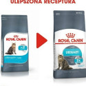 Kassitoit Royal Canin Urinary Care Täiskasvanu Linnud 10 kg