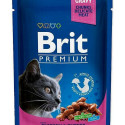 Kassitoit Brit Pouches Family Plate