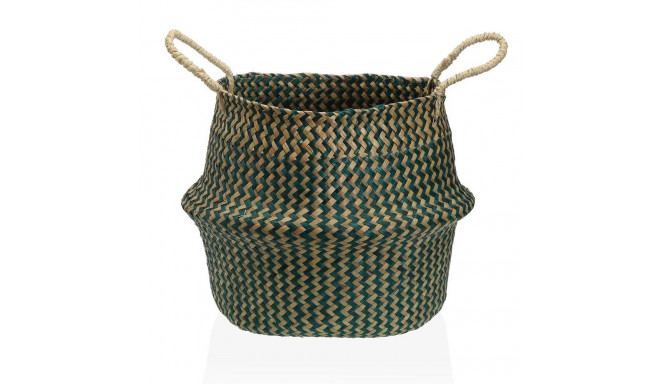 Decorative basket Versa Green Marine algae Ø 28 cm