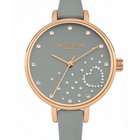 Ladies' Watch Daisy Dixon DD083ERG (Ø 36 mm)