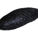 Doughnut Hair Bun Eurostil Filling Black