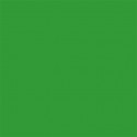 Superior Background Paper 54 Stinger Chroma Key 1.35 x 11m