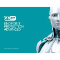 ESET Endpoint Protection Years 1 User 25 Antivirus security 11 - 25 license(s) 1 year(s)