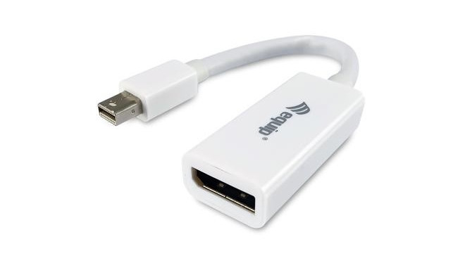 Equip Mini DisplayPort to DisplayPort adapter