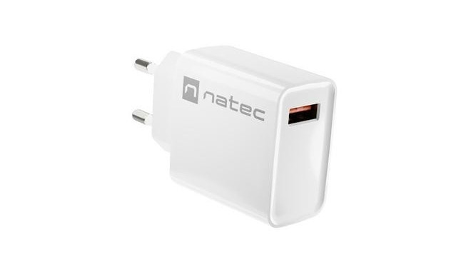 NATEC RIBERA Universal White AC Fast charging Indoor